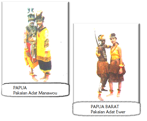 Pakaian Adat Indonesia (Papua)  Infonesia123